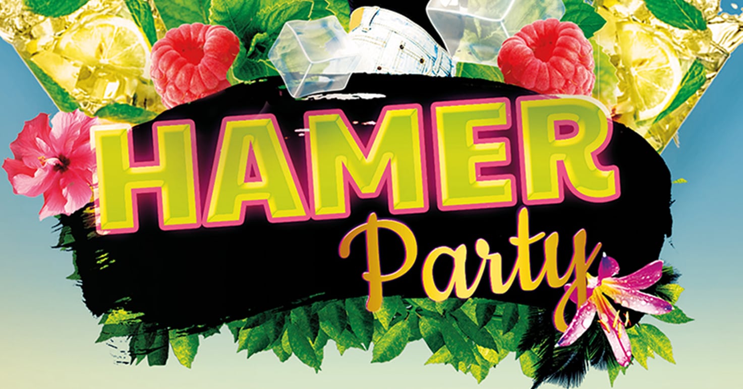 Hamerparty2018-socials-Poelmann-van-den-Broek-advocaten.jpg