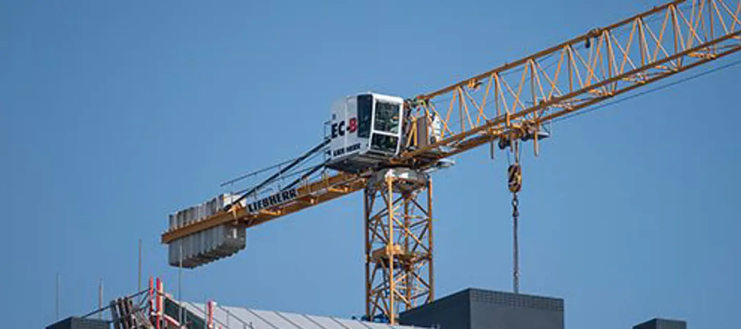 crane3-linkedin.jpg